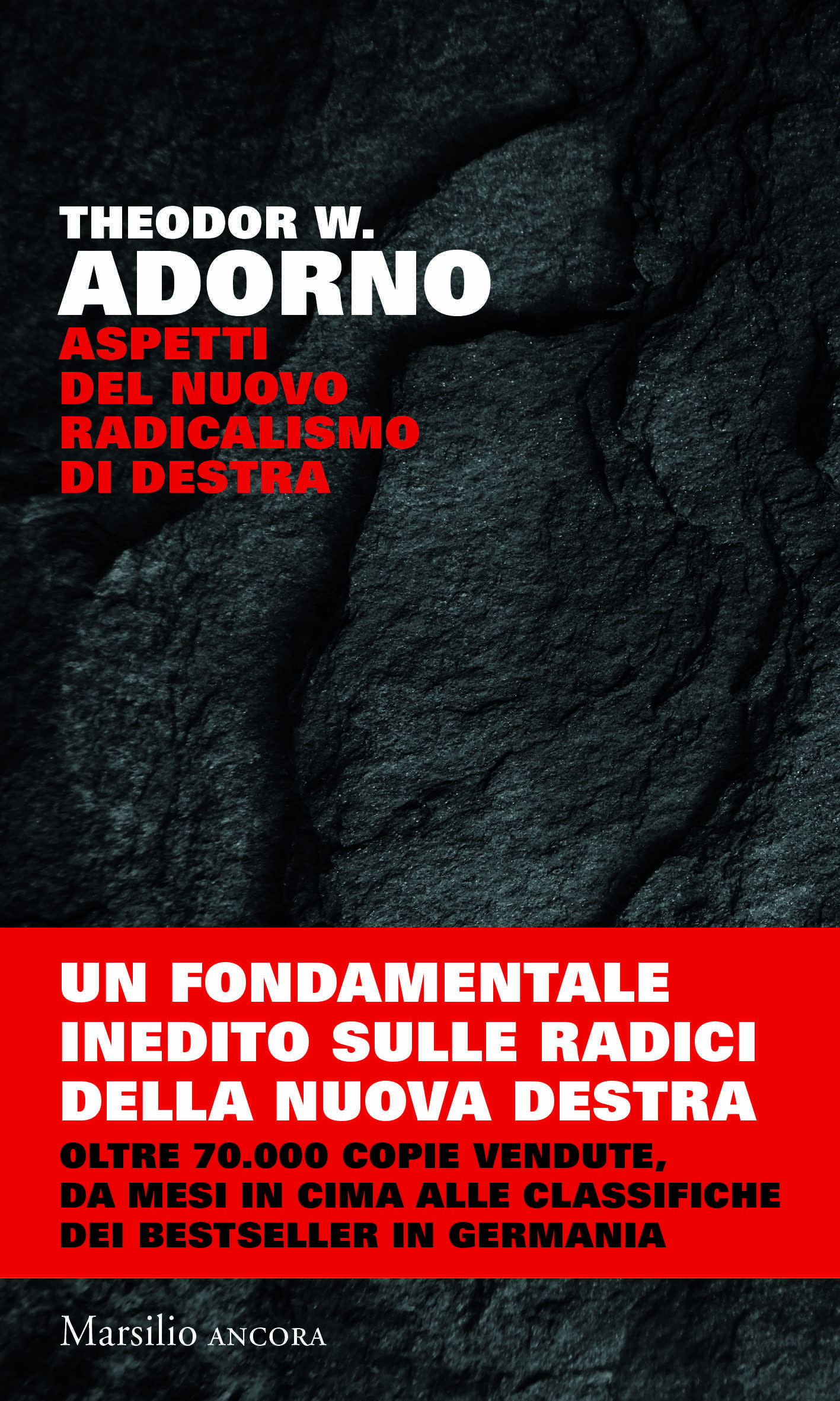 Aspetti del nuovo radicalismo di destra 