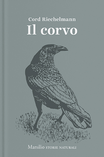 Il corvo 