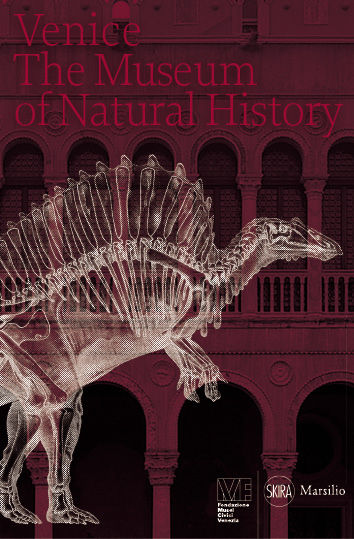 Venice. The Museum of Natural History 