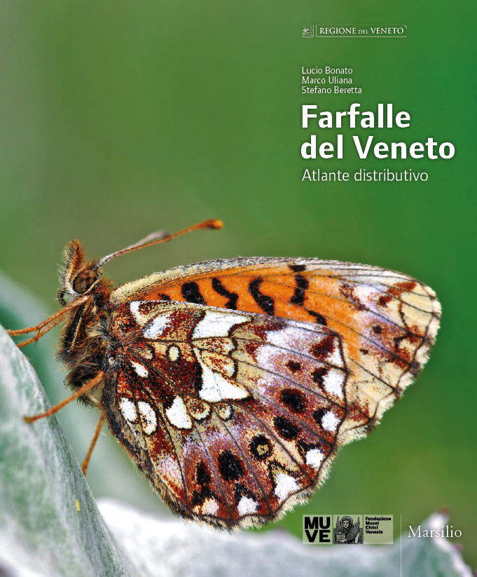 Farfalle del Veneto. Atlante distributivo 