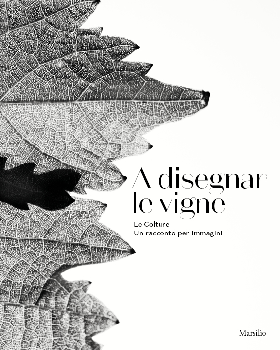 A disegnar le vigne