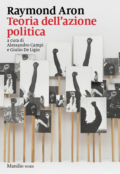 Teoria dell’azione politica