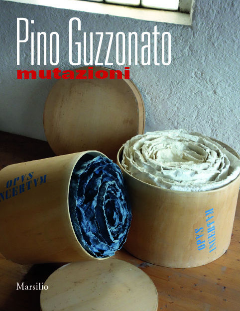 Pino Guzzonato. Mutazioni