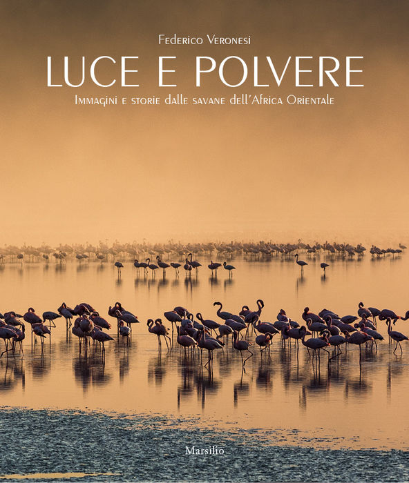 Luce e polvere