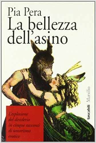 La bellezza dell'asino