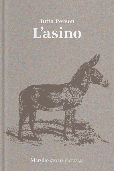 L'asino